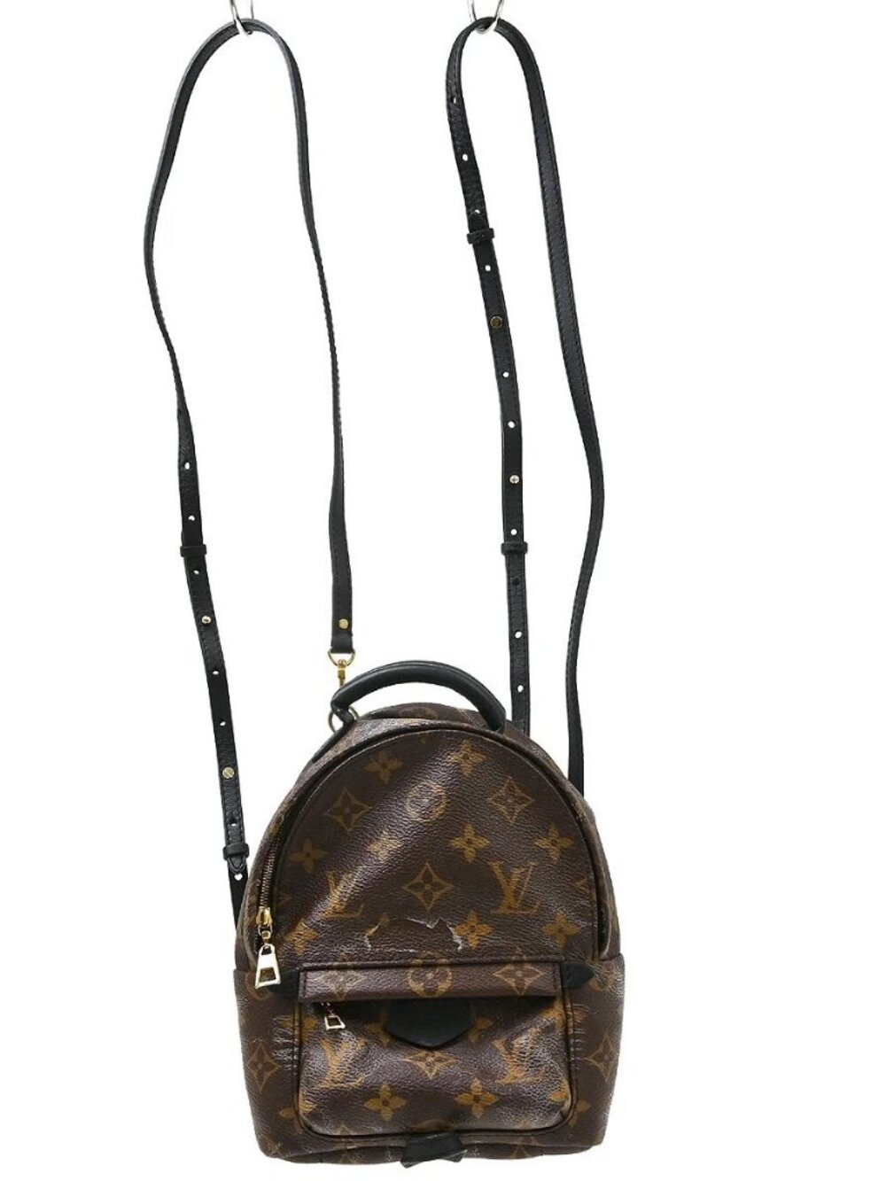 Louis Vuitton Palm Springs Mini Backpack M44873